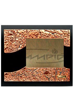 PLACAS HOMENAJE W0040G274