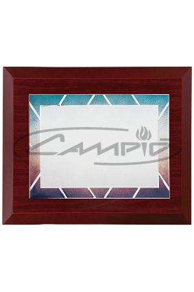 PLACAS HOMENAJE W0014PL133