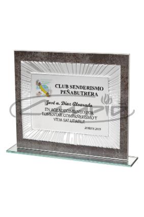 PLACAS HOMENAJE W1125FP108