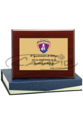 PLACAS HOMENAJE W1125FP119