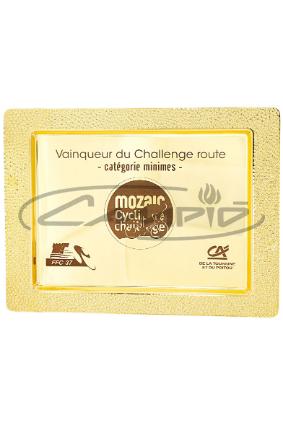 PLACAS HOMENAJE W1125FP151