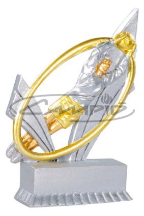 TROFEOS DEPORTIVOS W1125FT241