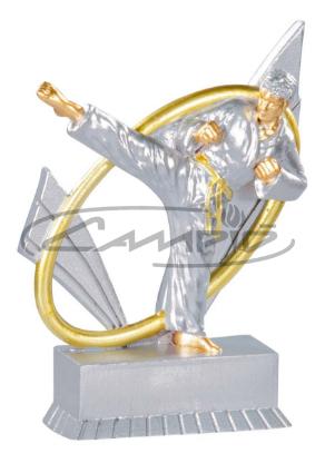 TROFEOS DEPORTIVOS W1125FT245