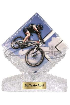 TROFEOS DEPORTIVOS W1125FT359