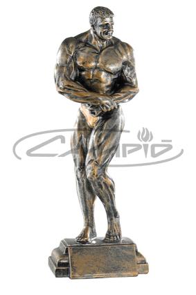 TROFEOS DEPORTIVOS W1125FT309