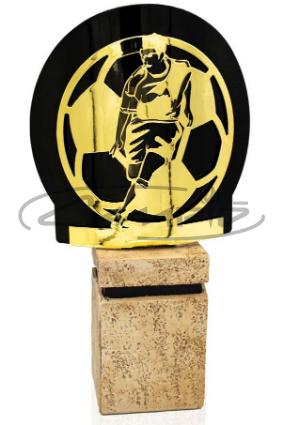 TROFEOS DEPORTIVOS W1125FT572