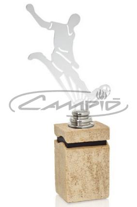 TROFEOS DEPORTIVOS W1125FT511