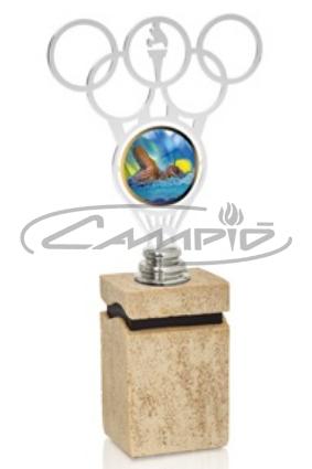 TROFEOS DEPORTIVOS W1125FT526