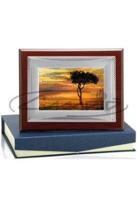 PLACAS HOMENAJE W1126FP121