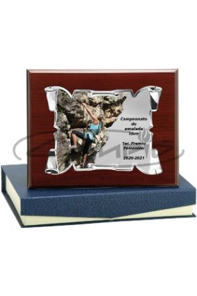 PLACAS HOMENAJE W1126FP132