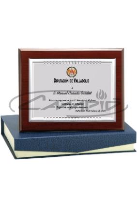PLACAS HOMENAJE W1126FP135