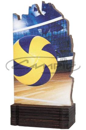 TROFEOS DEPORTIVOS W1126FT610