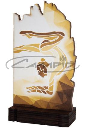 TROFEOS DEPORTIVOS W1126FT623