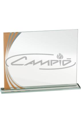 PLACAS HOMENAJE W1126FP100