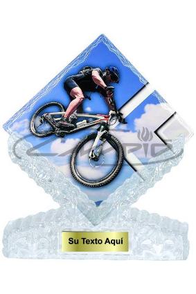 TROFEOS DEPORTIVOS W1126FT365