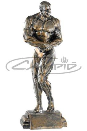 TROFEOS DEPORTIVOS W1126FT311