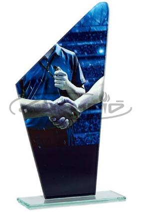 TROFEOS DEPORTIVOS W1126FT389