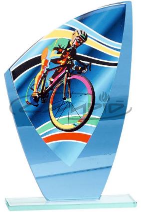 TROFEOS DEPORTIVOS W1126FT349