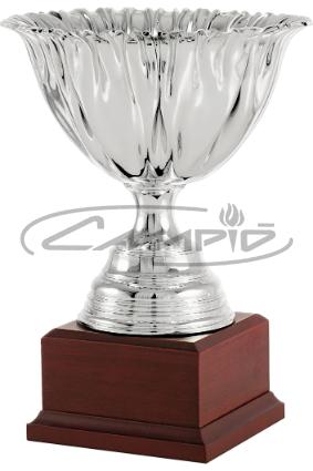COPAS DEPORTIVAS W0016C166