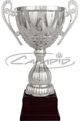 COPAS DEPORTIVAS W0016C170
