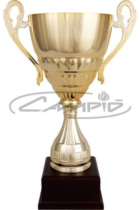 COPAS DEPORTIVAS W0016C306