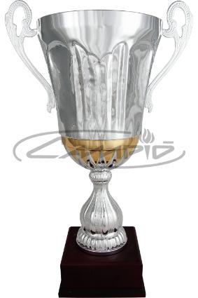 COPAS DEPORTIVAS W0016C310