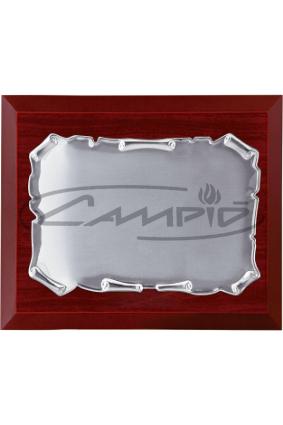 PLACAS HOMENAJE W0016PL116