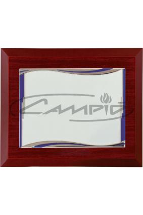 PLACAS HOMENAJE W0016PL120