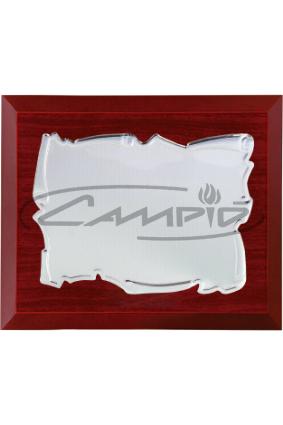 PLACAS HOMENAJE W0016PL124