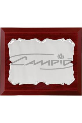 PLACAS HOMENAJE W0016PL128