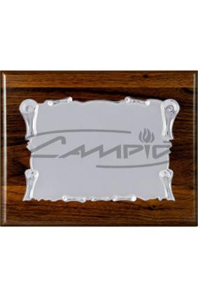 PLACAS HOMENAJE W0016PL129