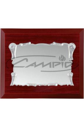 PLACAS HOMENAJE W0016PL130